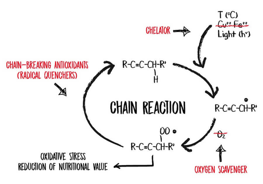 Effects Of Oxidation On Food Shelf Life Extension Expert